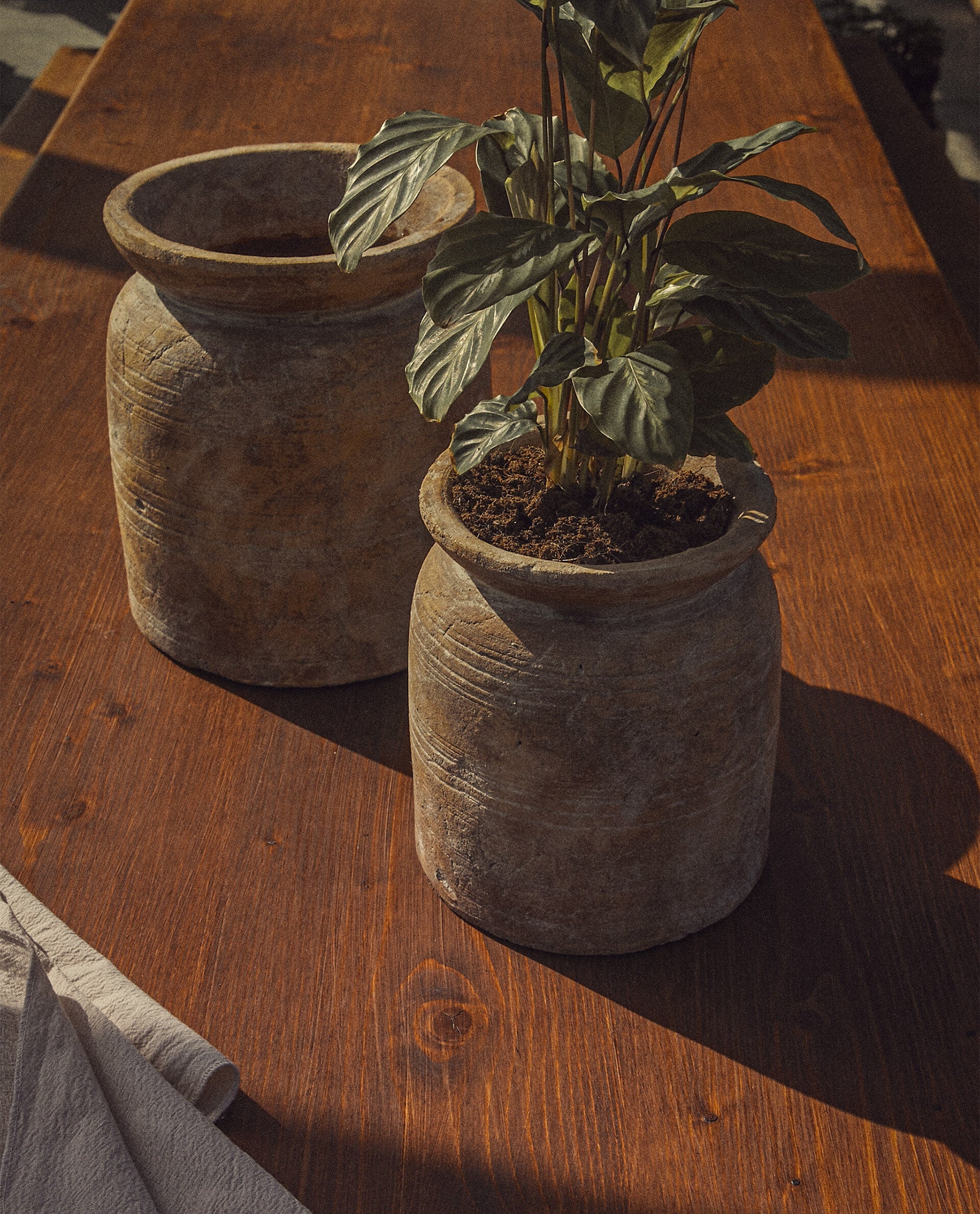 Zara Home + Terracotta Vase