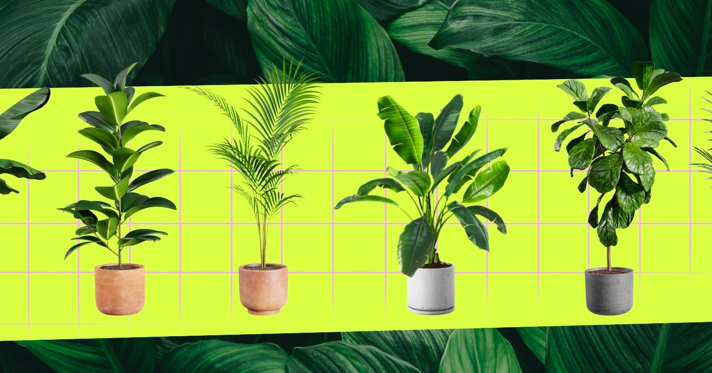 Best Artificial Plants That Don't Look Super Fake