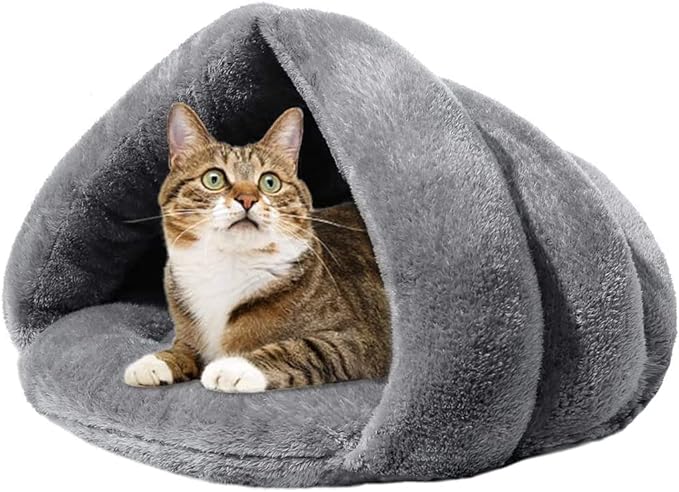 22 Best New Cat Products For Pet Parents
