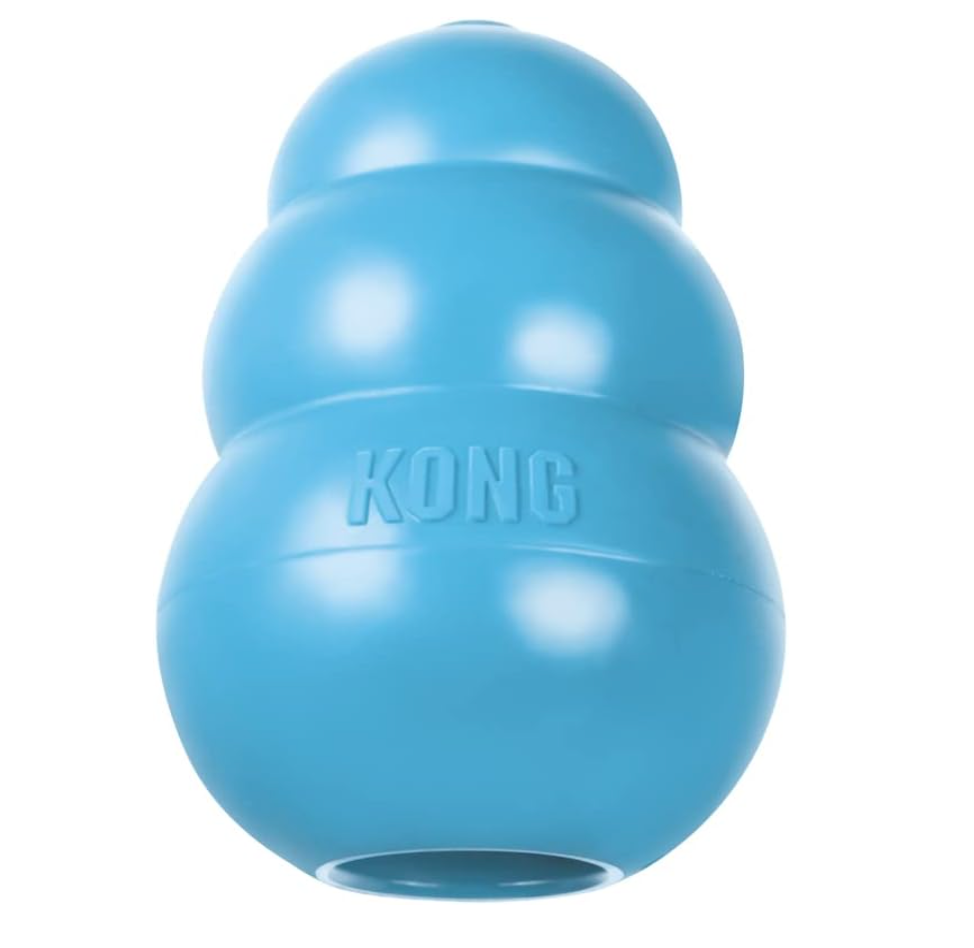 KONG + KONG Puppy Teething Toy