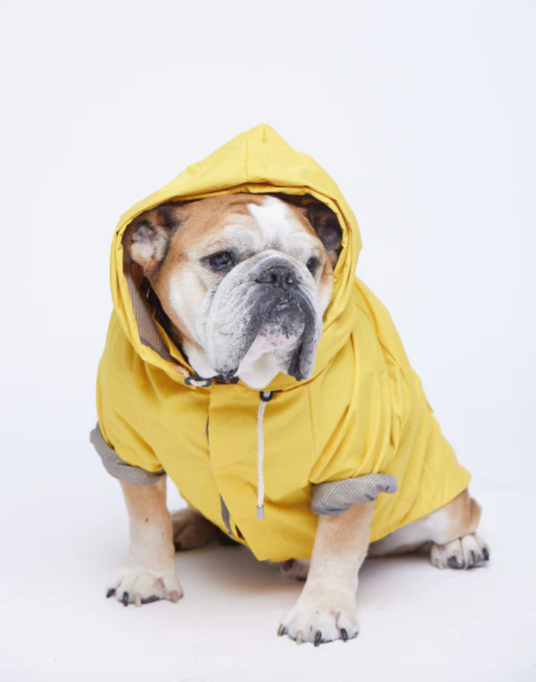 Max bone talon raincoat hotsell