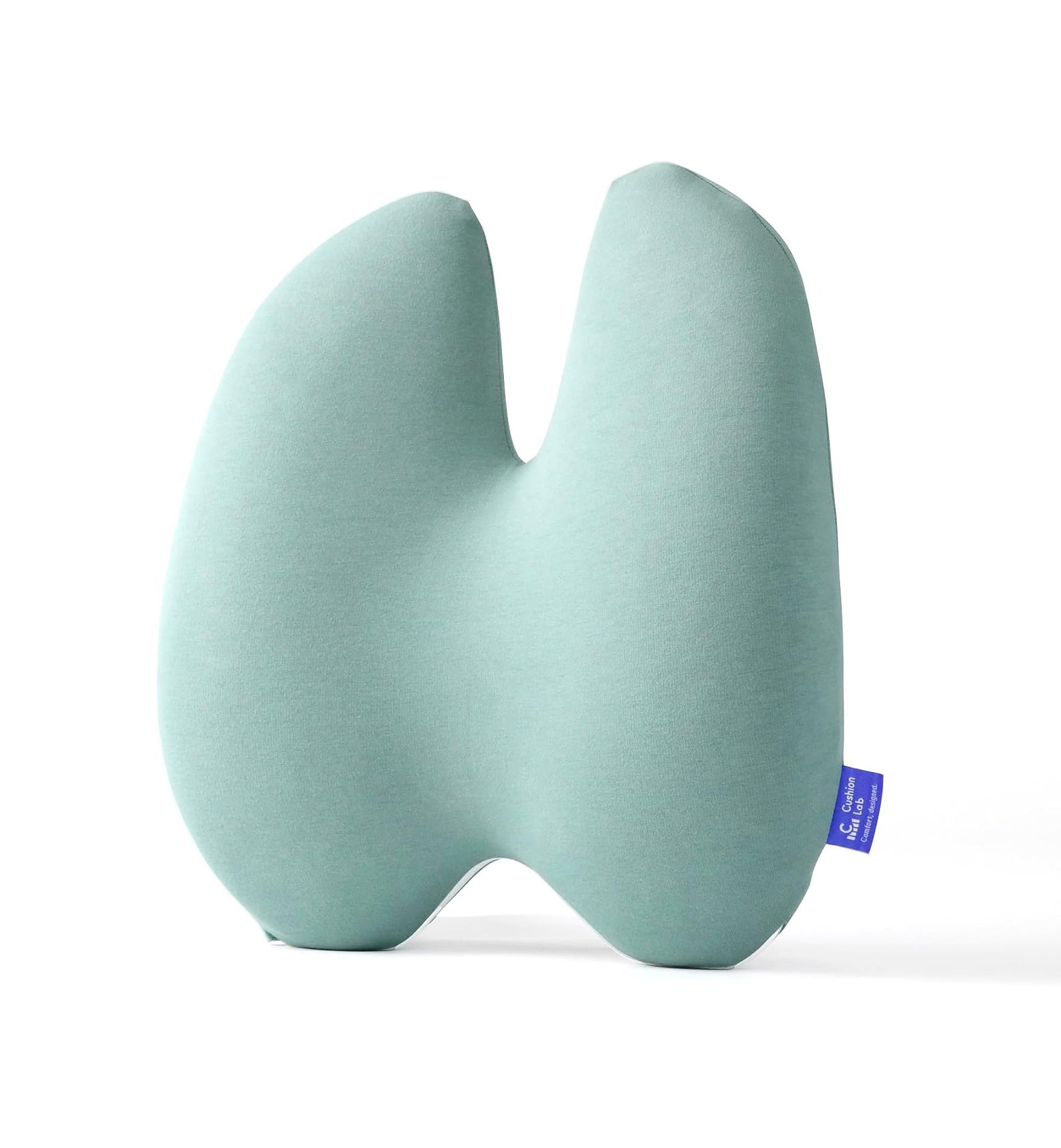 Cushion Lab + Ergonomic Lumbar Pillow