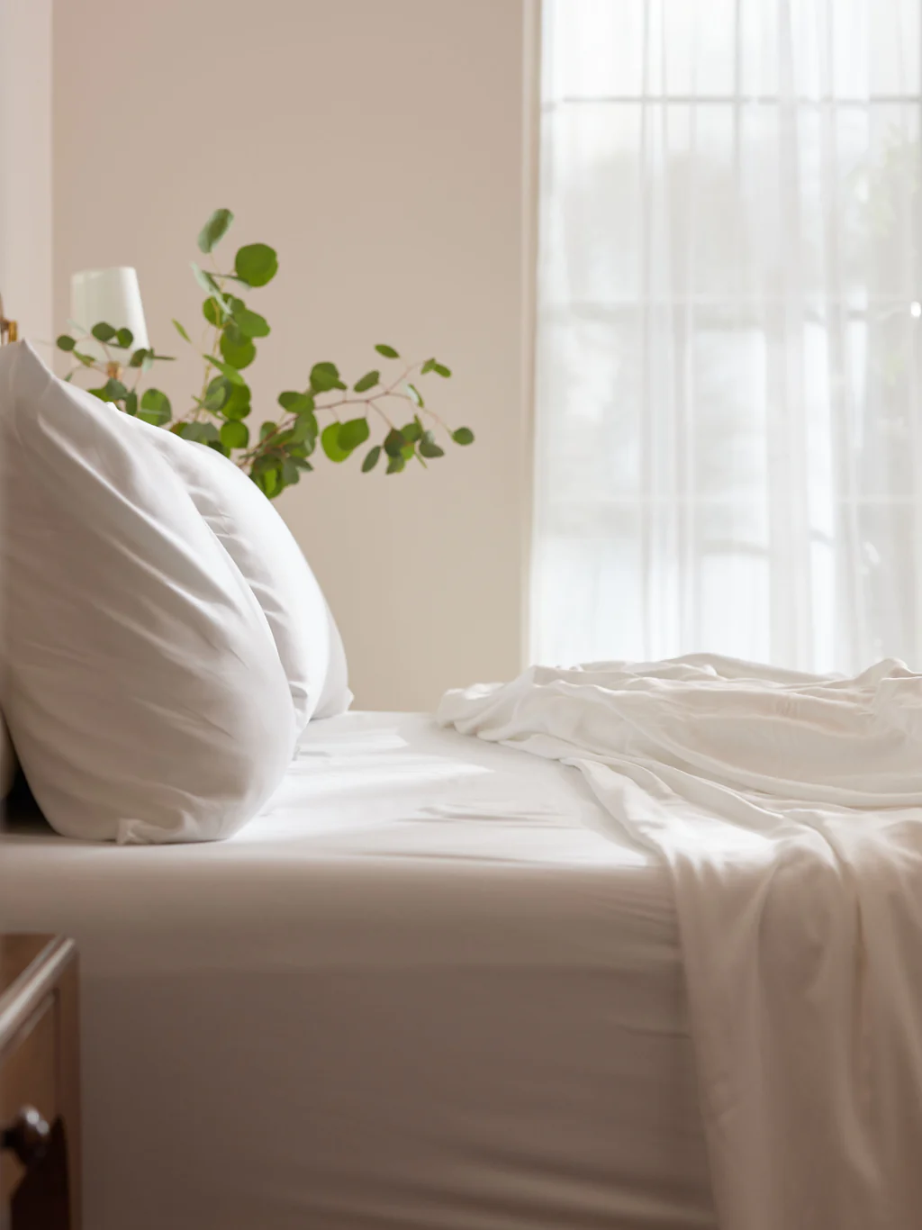 Cozy Earth + Bamboo Sheet Set