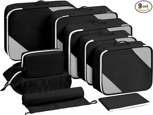 Calpak danton top luggage review