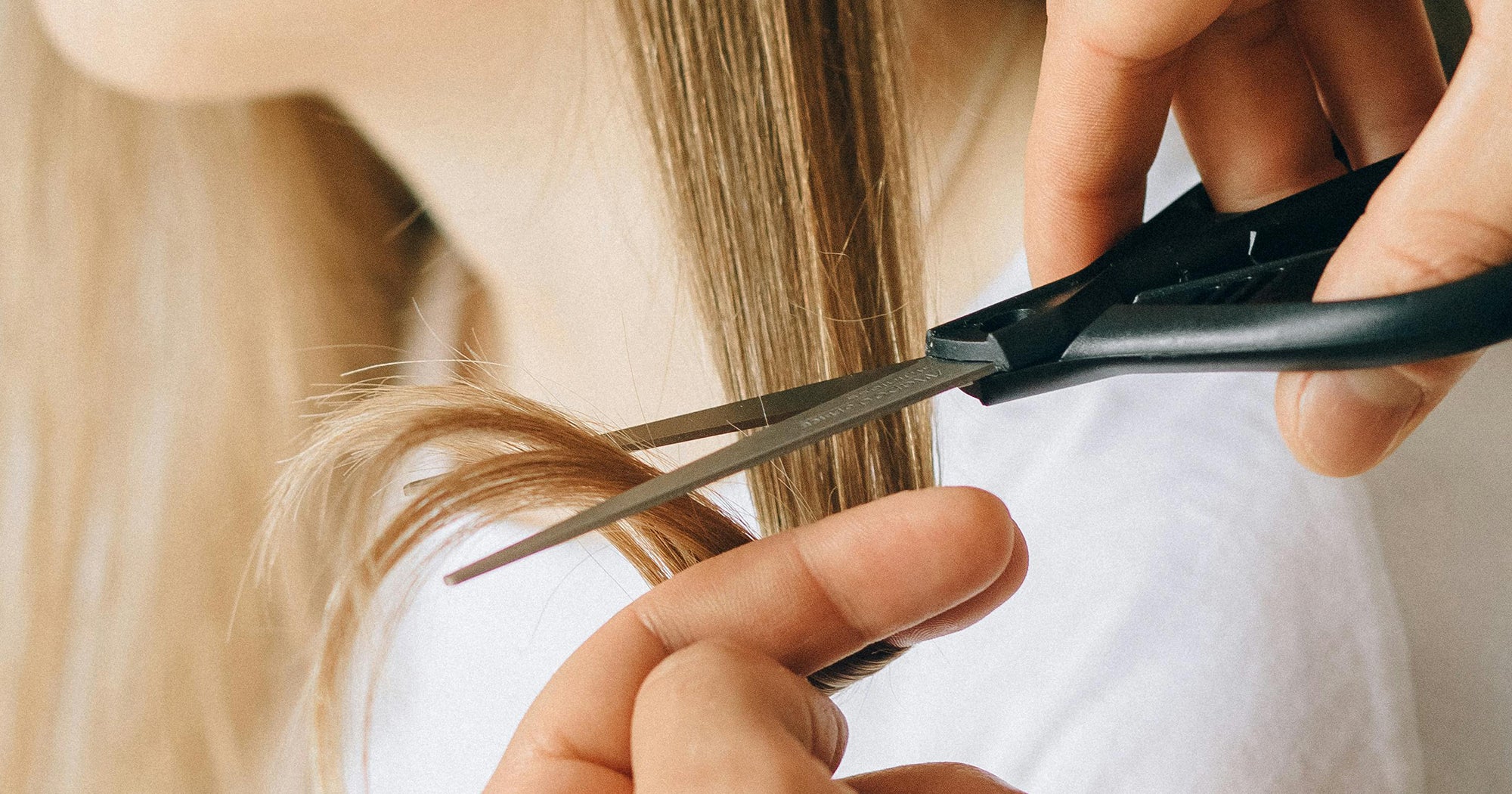 What Is Hair Dusting? How To Get Rid Of Split Ends WDC NEWS 6