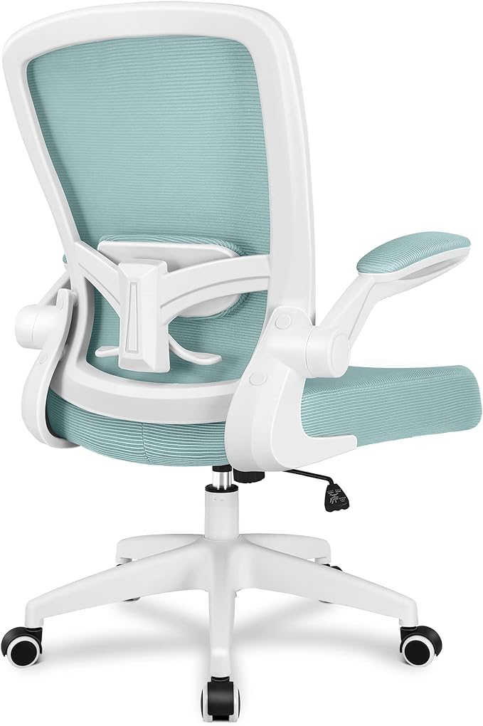 FelixKing + Ergonomic Desk Chair