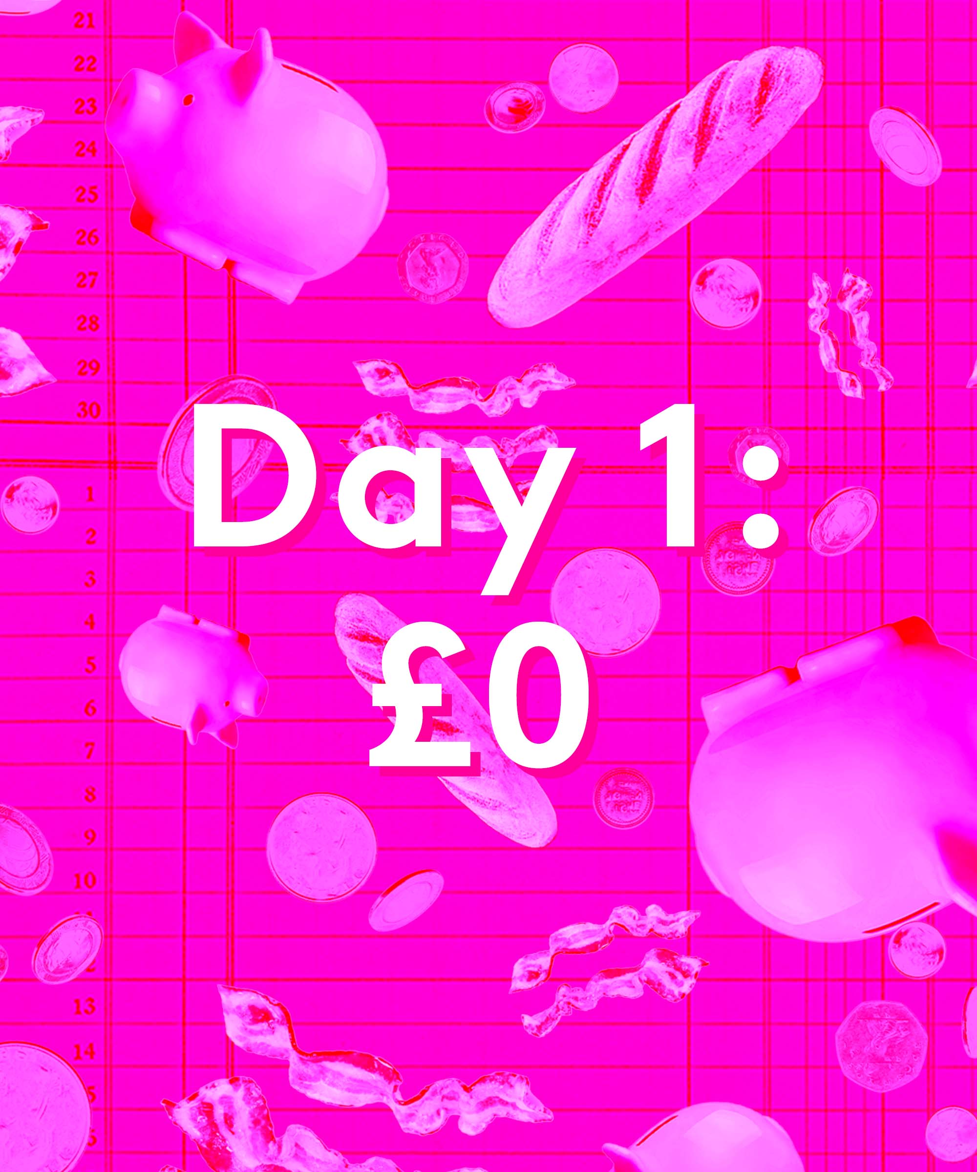 Money Diary: A Registered Veterinary Nurse On £28,012