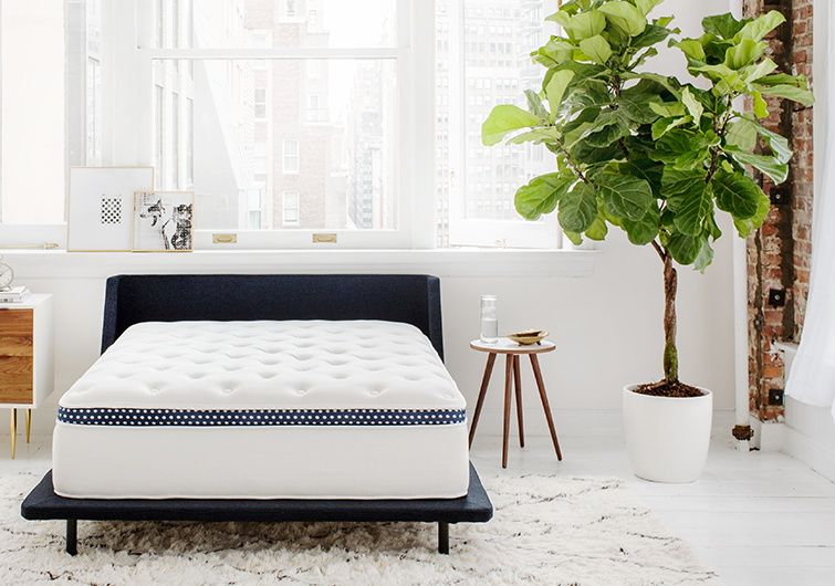 Top-Rated Mattresses,