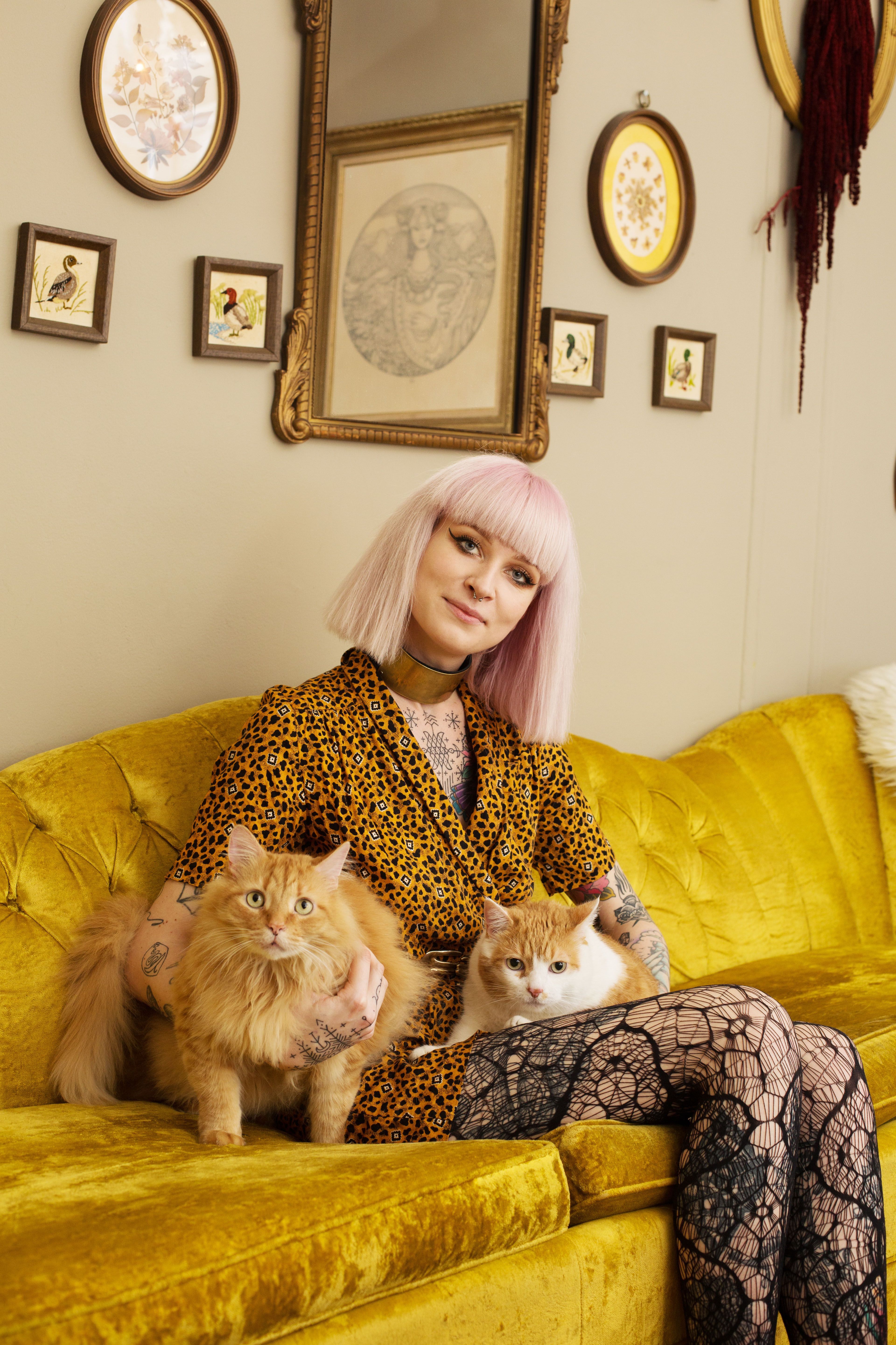 Ces Femmes Qui Changent Du Cliche De La Folle A Chat Ces Femmes Qui Changent Du Cliche De La Folle A Chat
