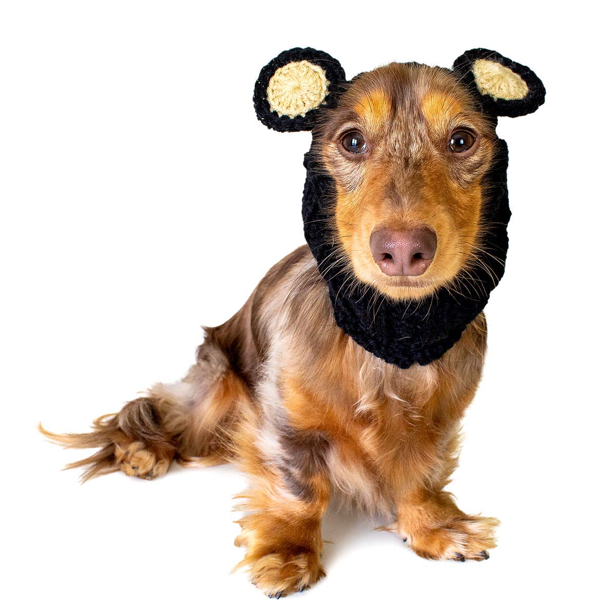 Zoo Snoods + Black Bear Dog Costume