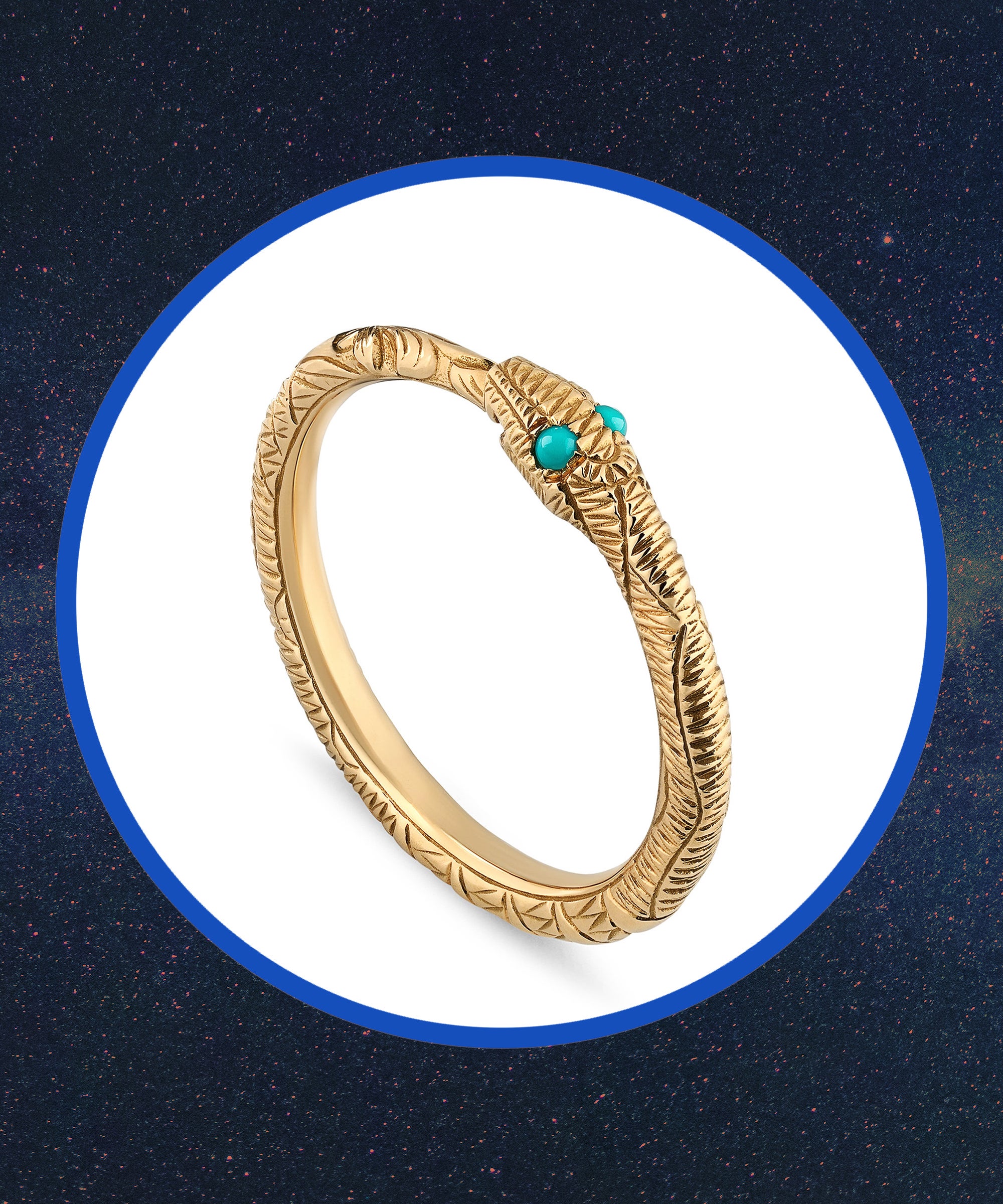 world serpent ring