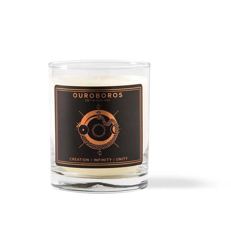 The Mystical Ouroboros Symbol Has Snakes Charming Us Mystical Ouroboros Symbol,