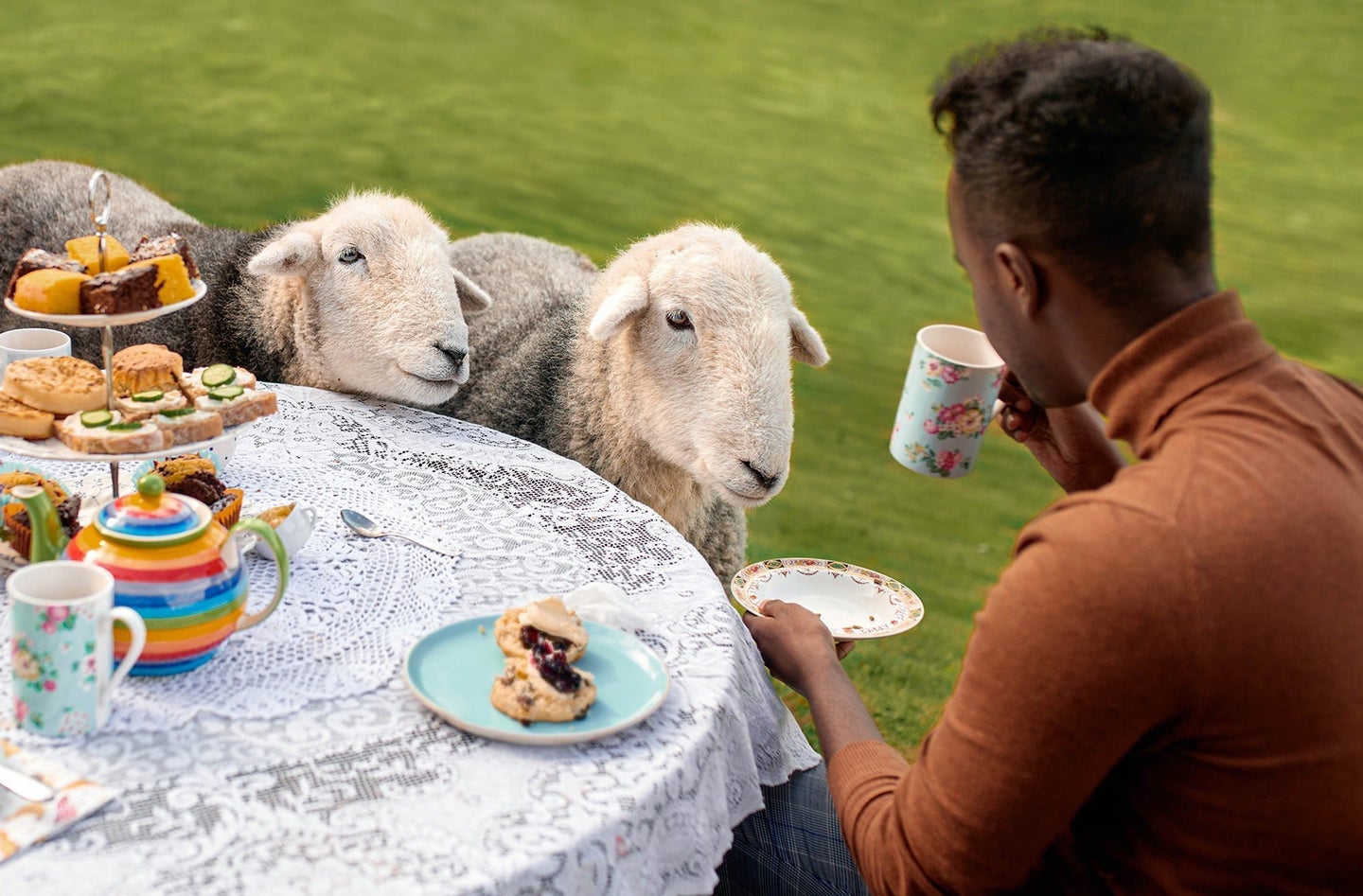 Animal Experiences Airbnb,