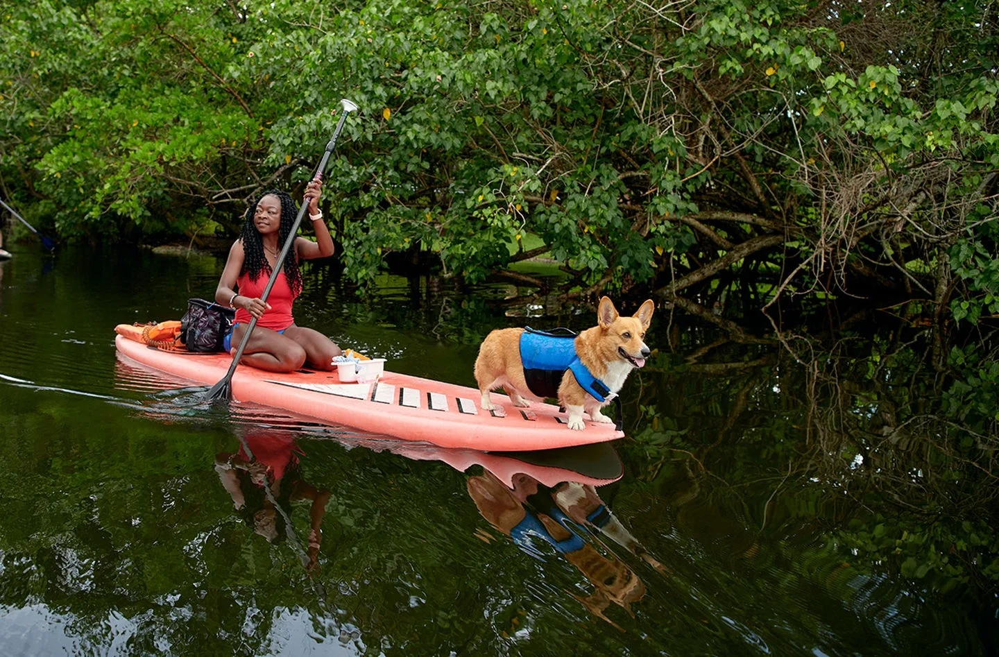 These 10 Animal Experiences On Airbnb Will Totally Melt Your Heart Animal Experiences Airbnb,