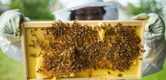 These 10 Animal Experiences On Airbnb Will Totally Melt Your Heart Animal Experiences Airbnb,