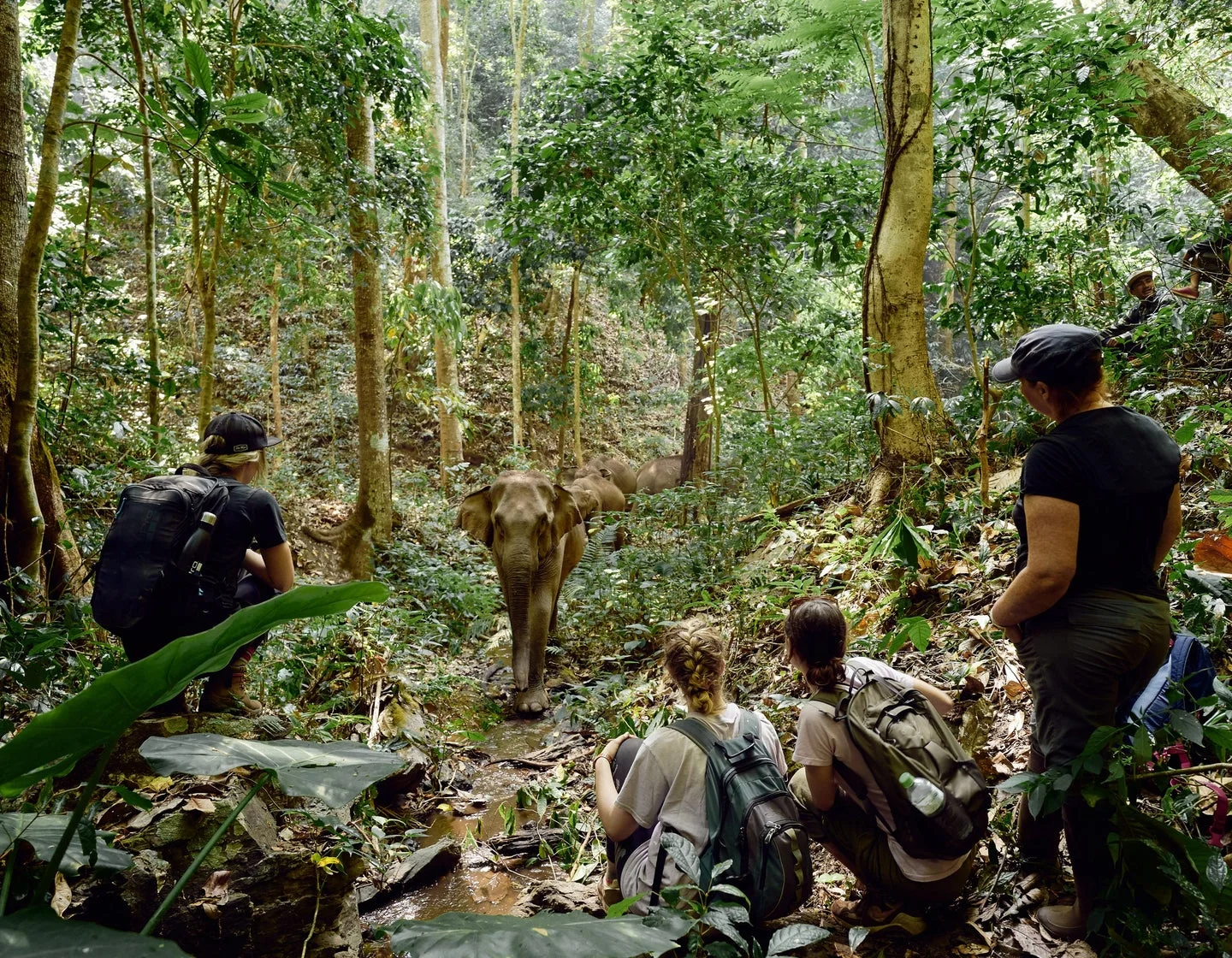 These 10 Animal Experiences On Airbnb Will Totally Melt Your Heart Animal Experiences Airbnb,