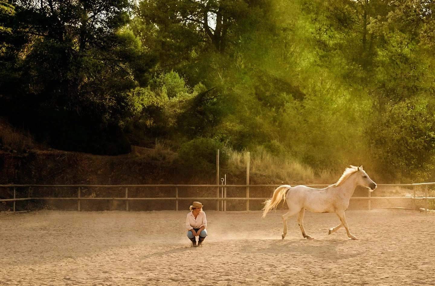 These 10 Animal Experiences On Airbnb Will Totally Melt Your Heart Animal Experiences Airbnb,