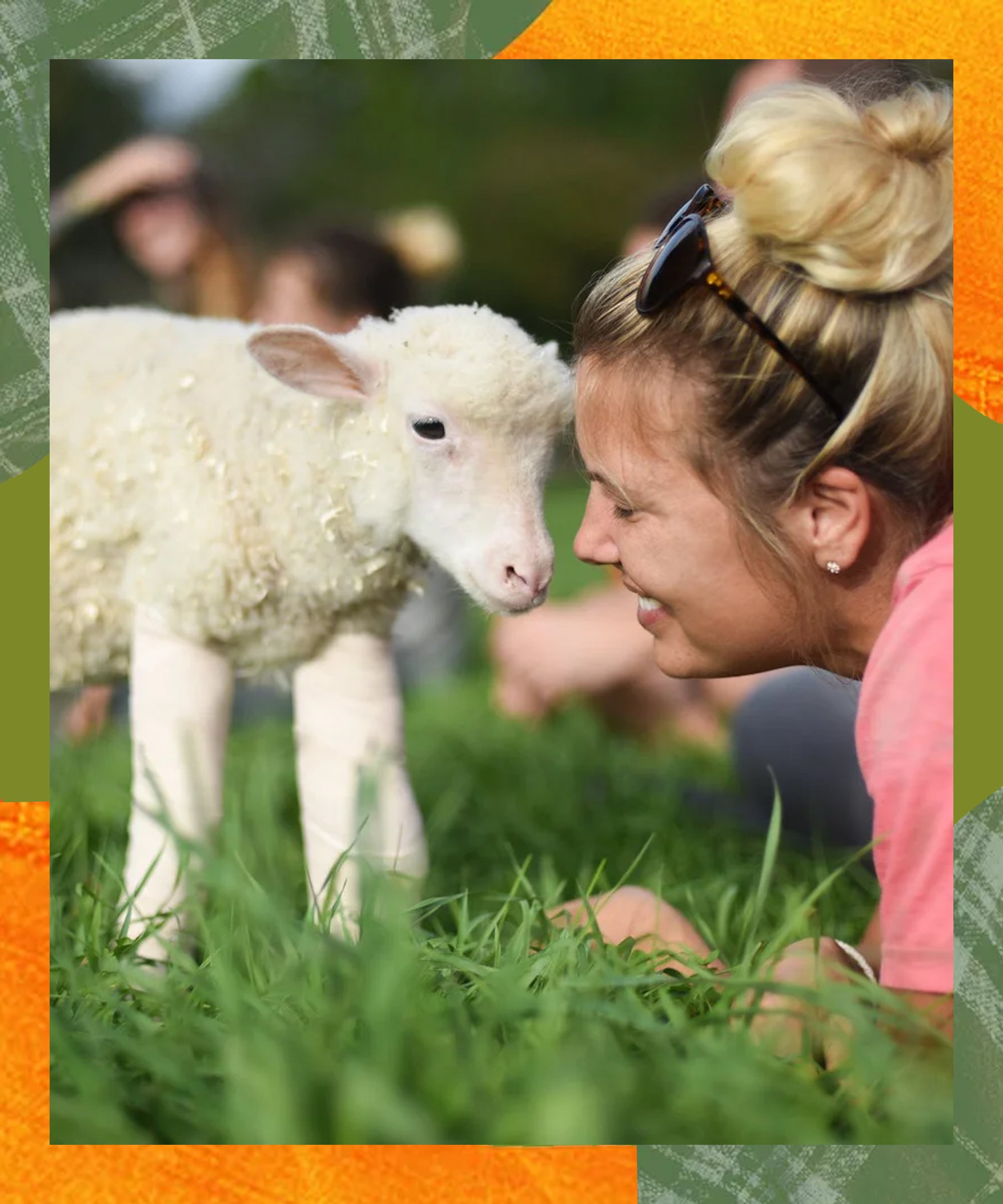 Sicily News, Articles, Stories & Trends for Today