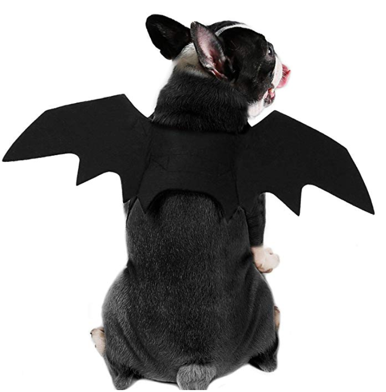 Rypet + Rypet Dog Bat Costume