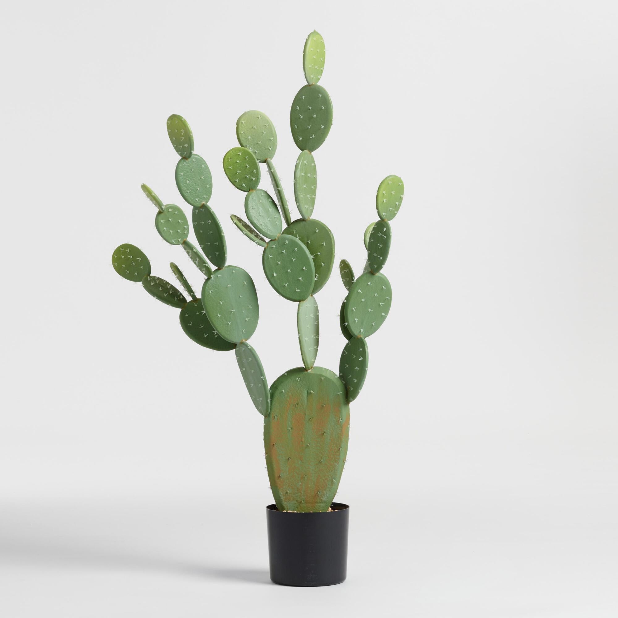 World Market + Faux Prickly Pear Cactus Plant