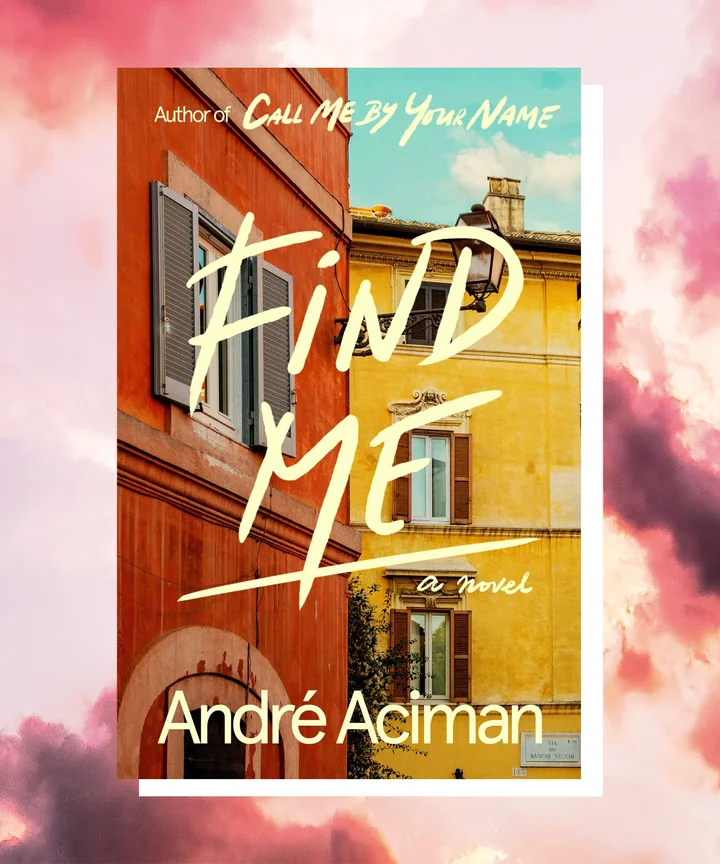 What Happens In Call Me By Your Name Sequel Find Me