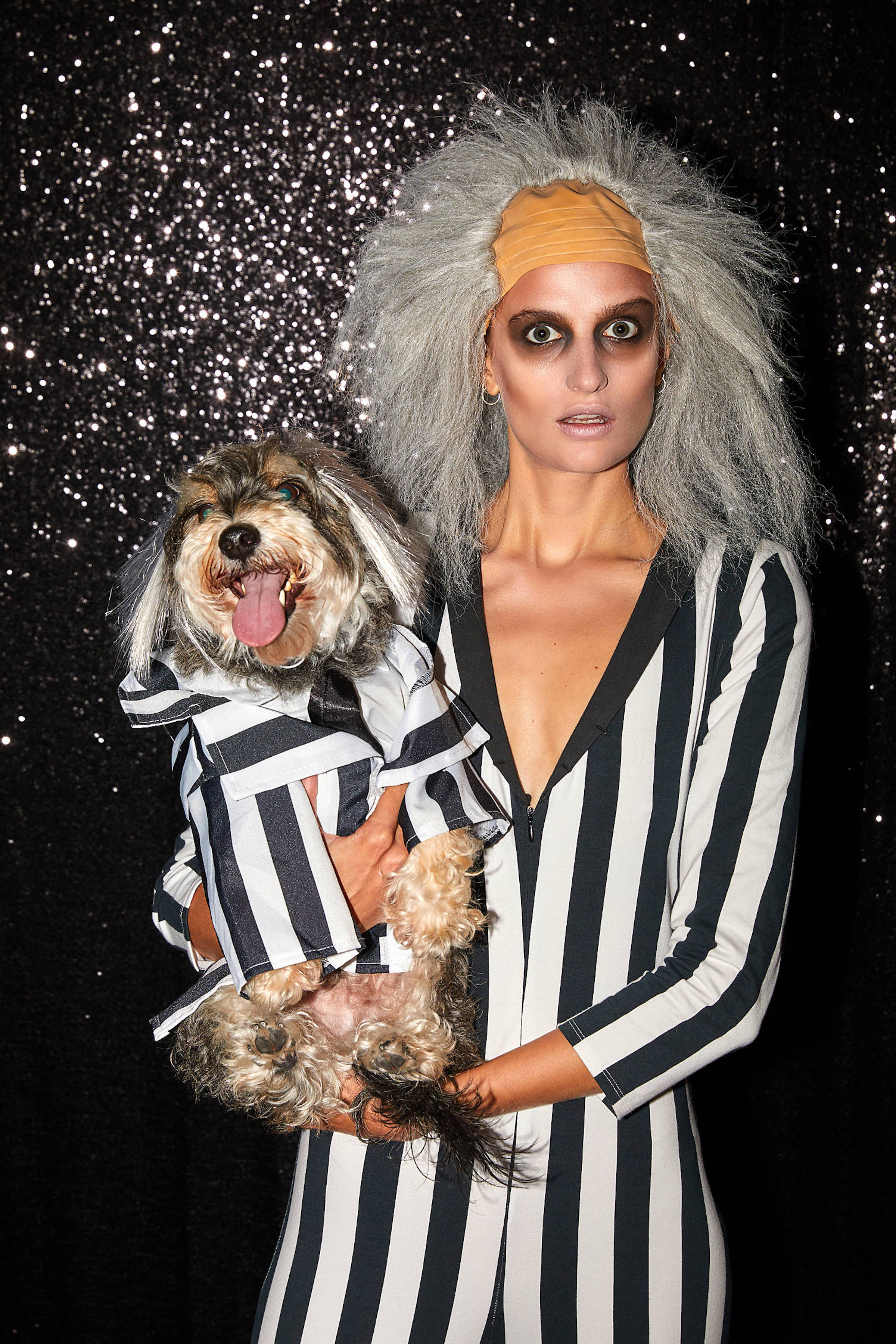 12+ Britney Spears Dog Costume britney spears in the zone cassette