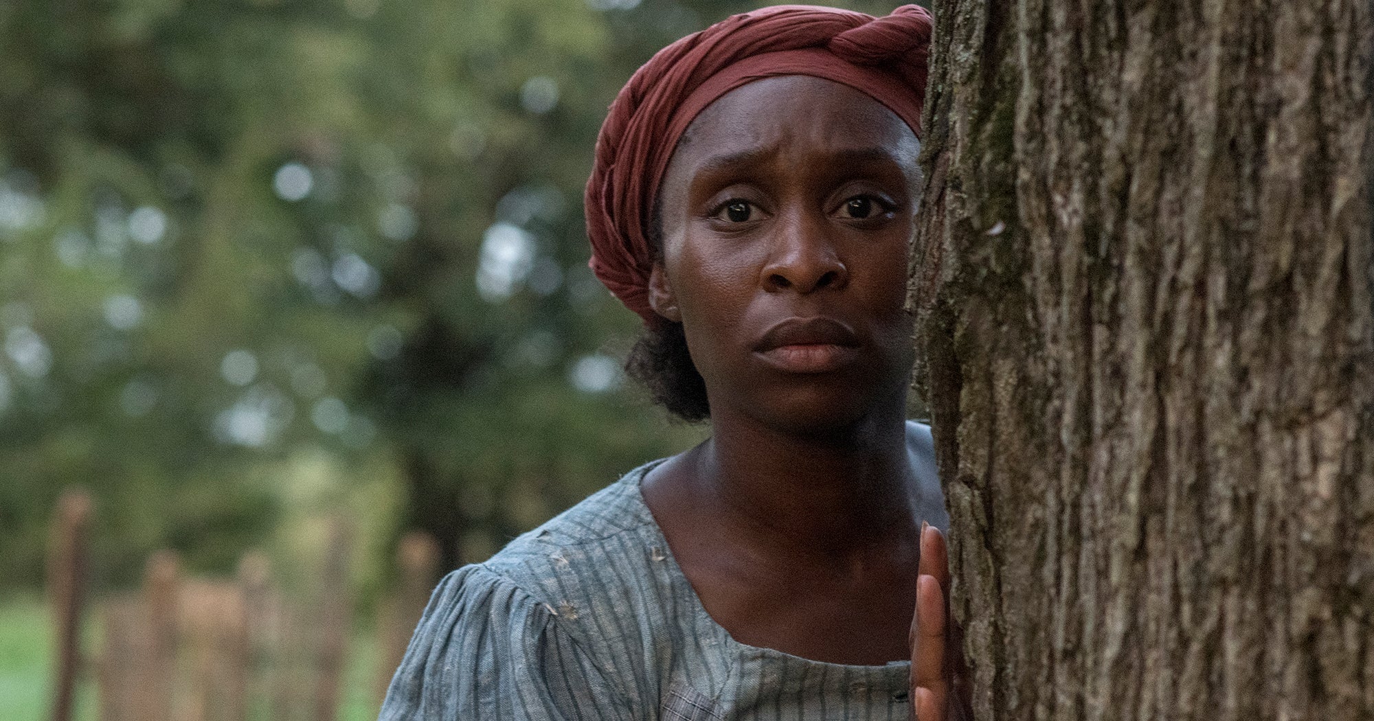 A guide to which harriet characters are real fictional