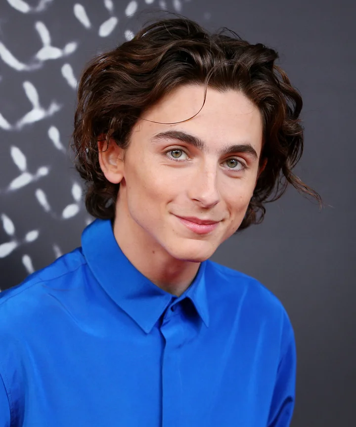 Timothee Chalamet Jokes About Emma Watson Therapy