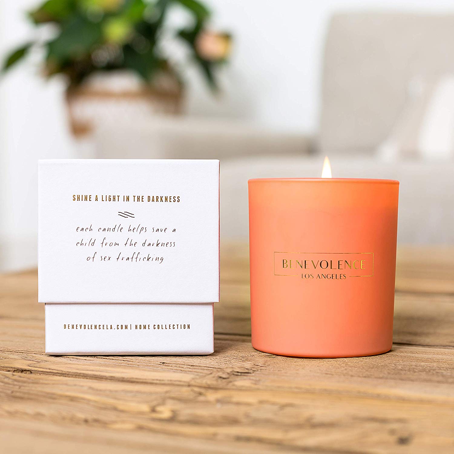 Benevolence LA + Scented Aromatherapy Candle