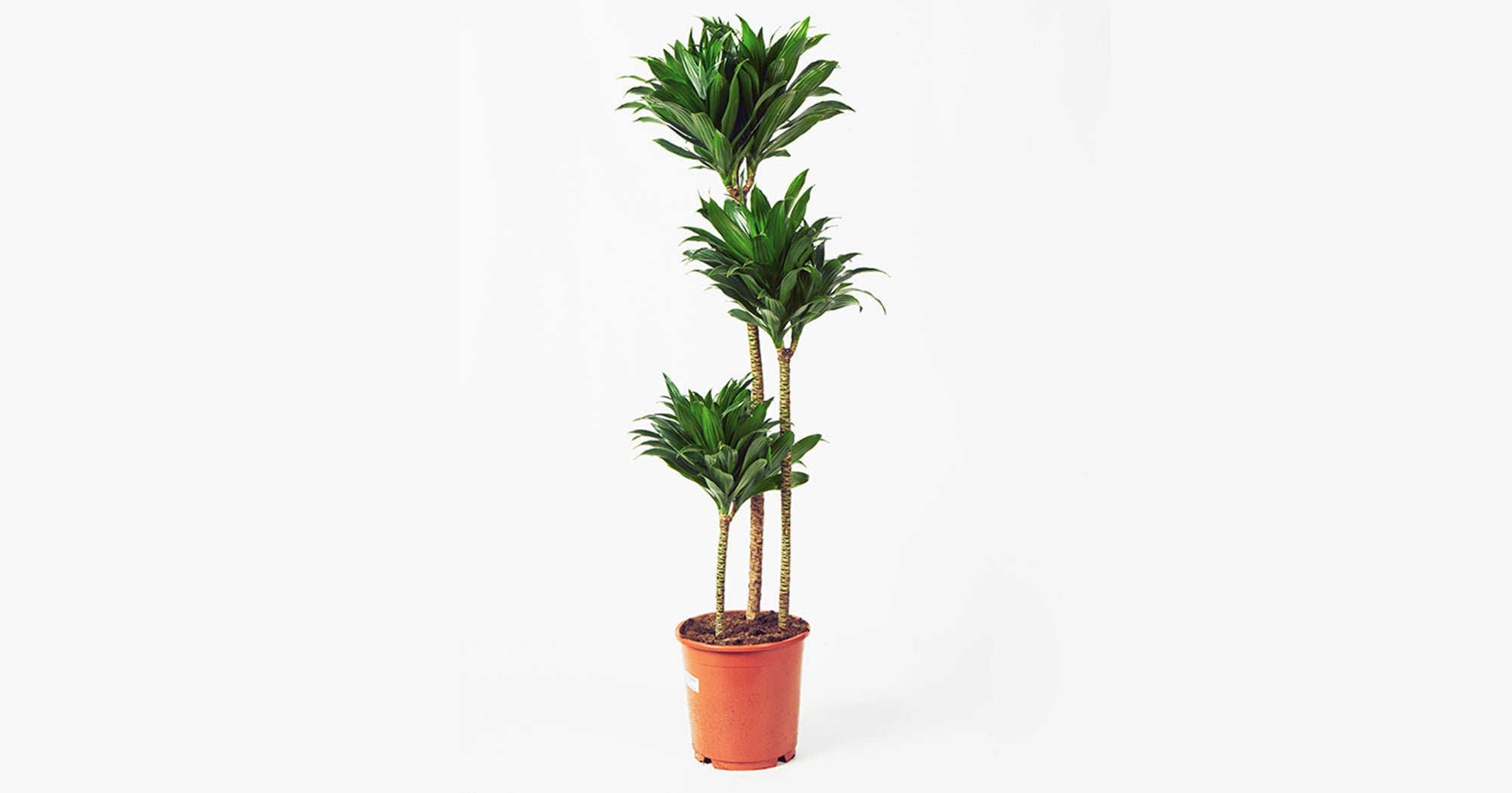 A Week In Baltimore, MD, On A $129,000 Salary - Refinery29