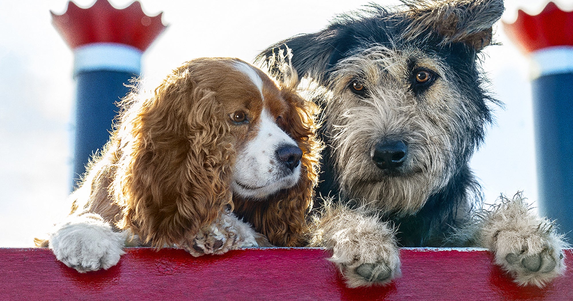 Who Voices The Dogs In The New Lady And The Tramp Movie