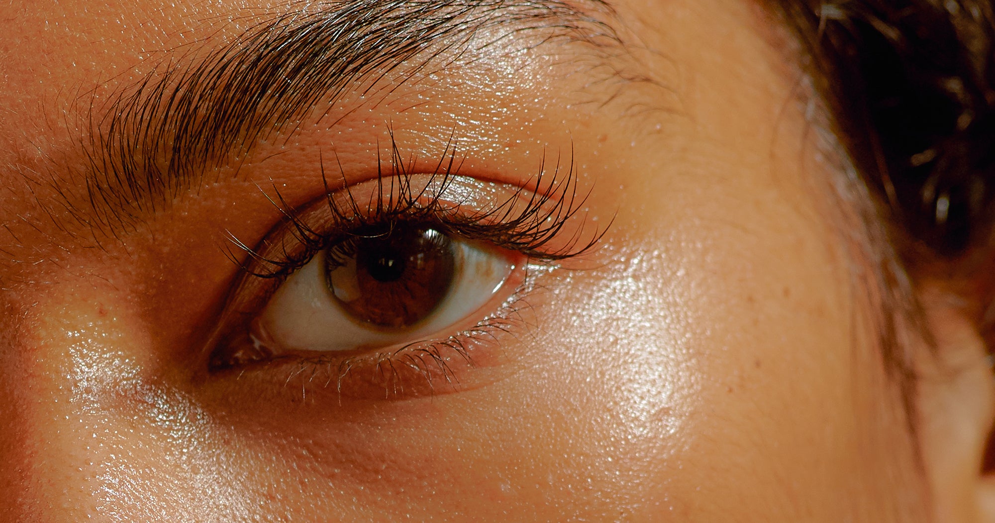 Sind Wimpernlause In Extensions Wirklich Ein Problem
