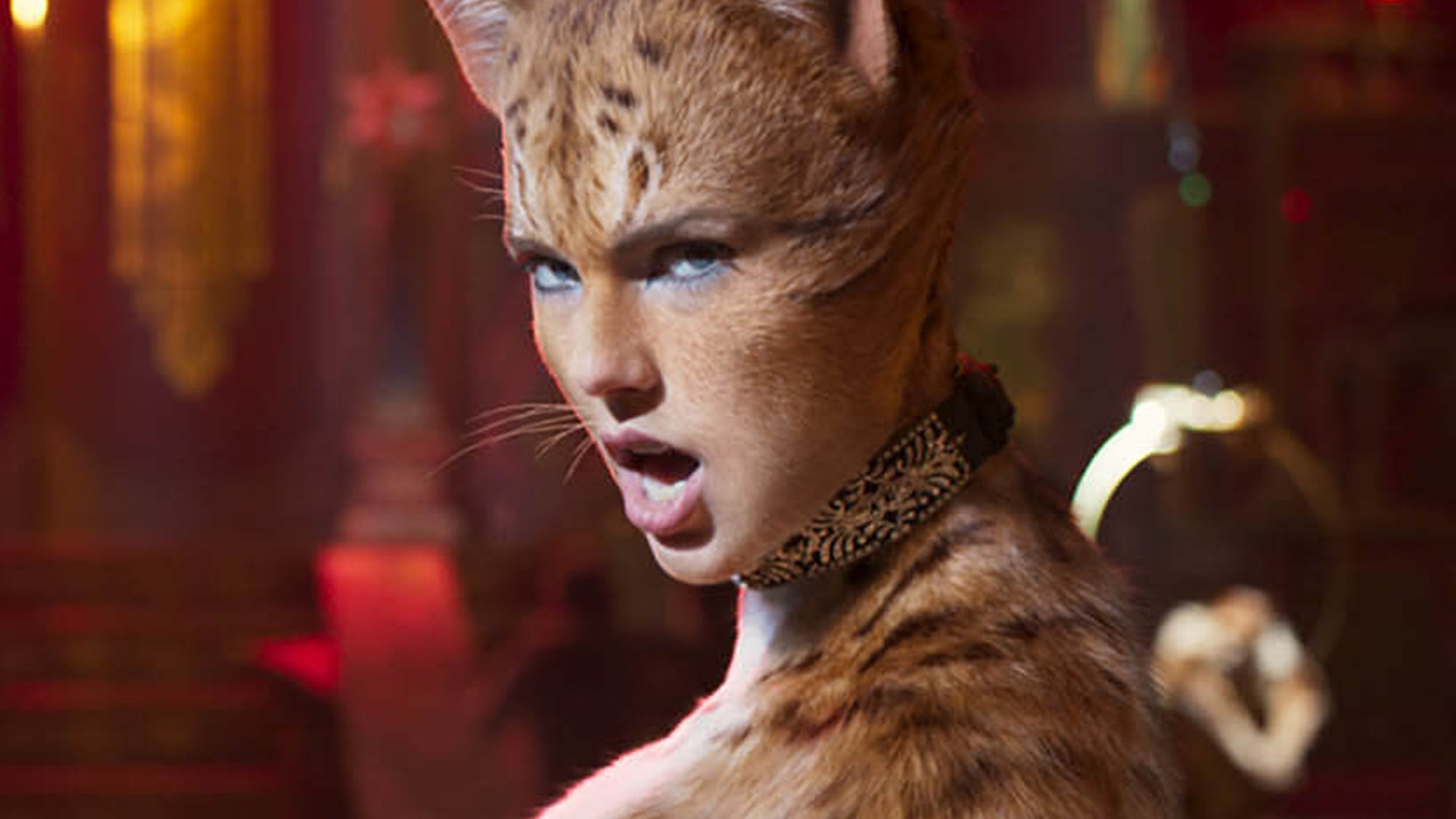 The New Cats Trailer Is Filled With Purrs Puns
