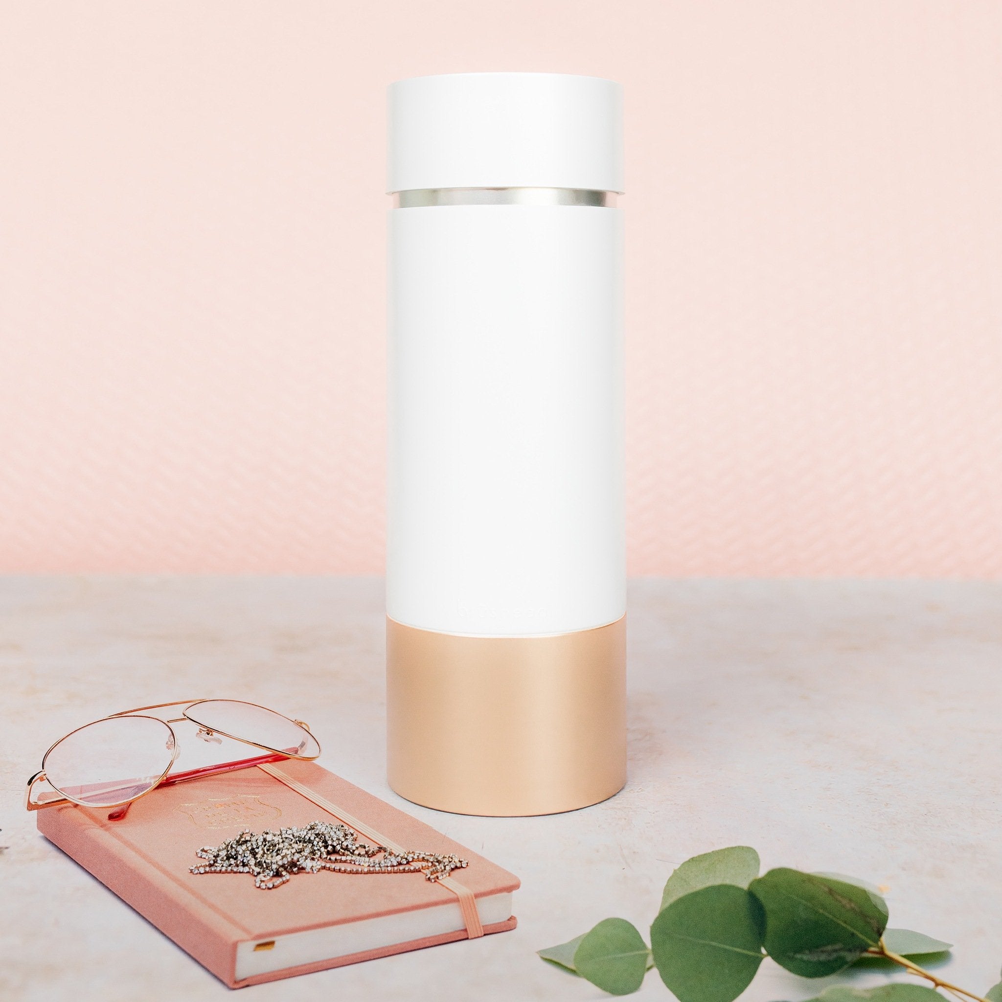 Brushean + Brushean Makeup Brush Sanitizer