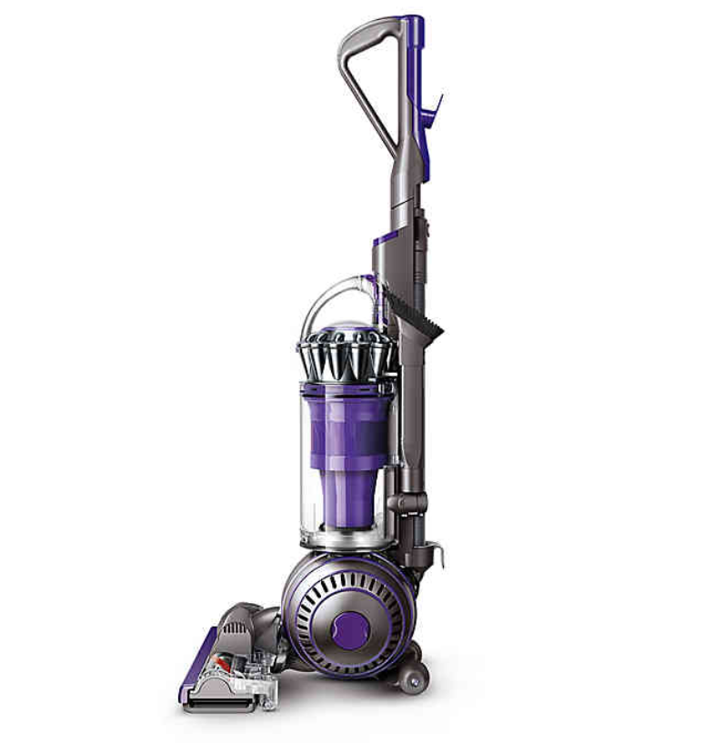 dyson ball animal 2 vacuum