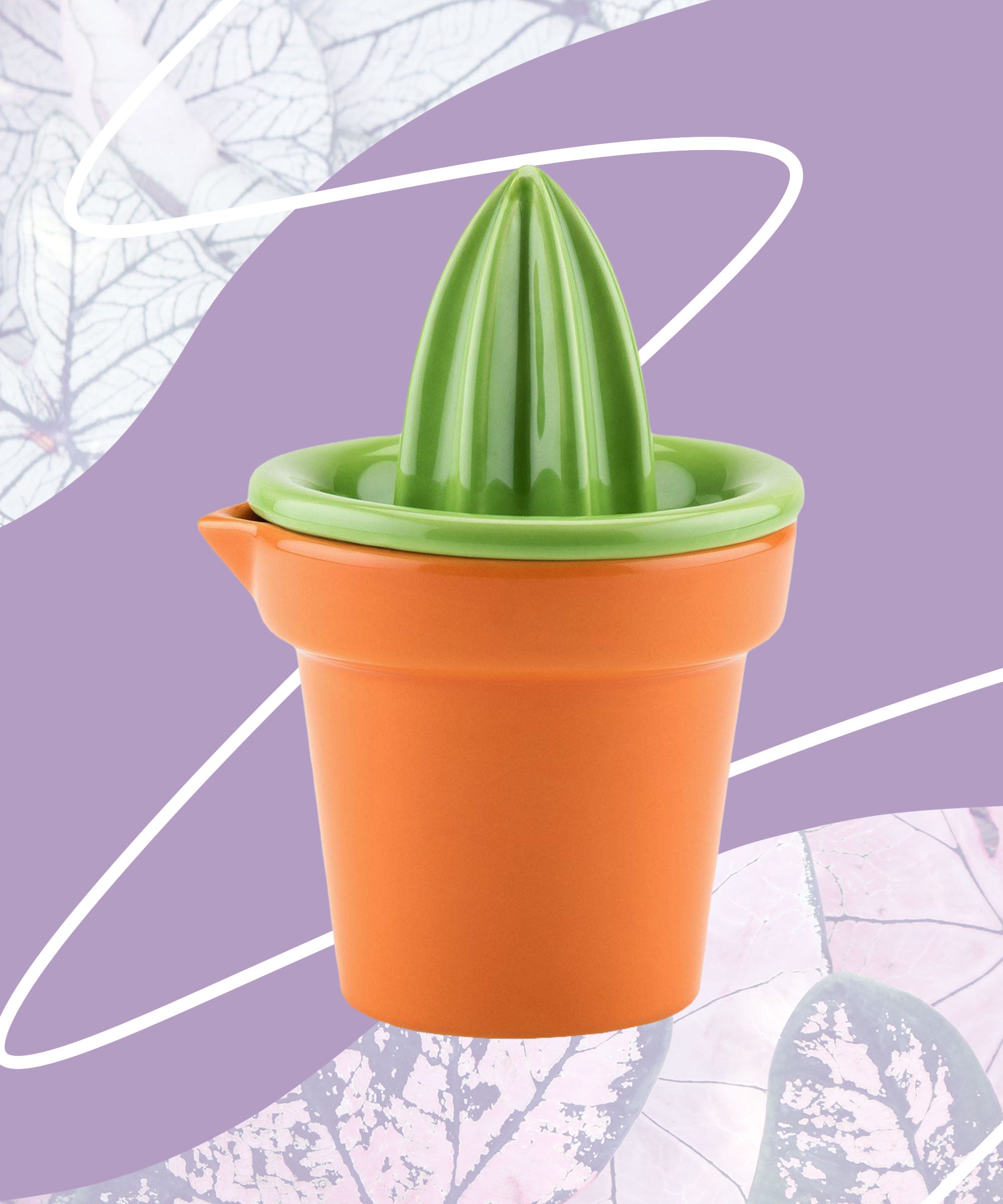 best gifts for succulent lovers
