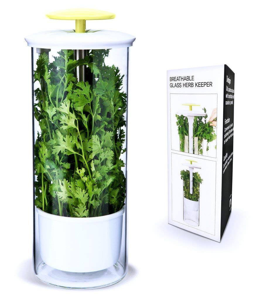 NOVART + Premium Herb Keeper and Herb Storage Container