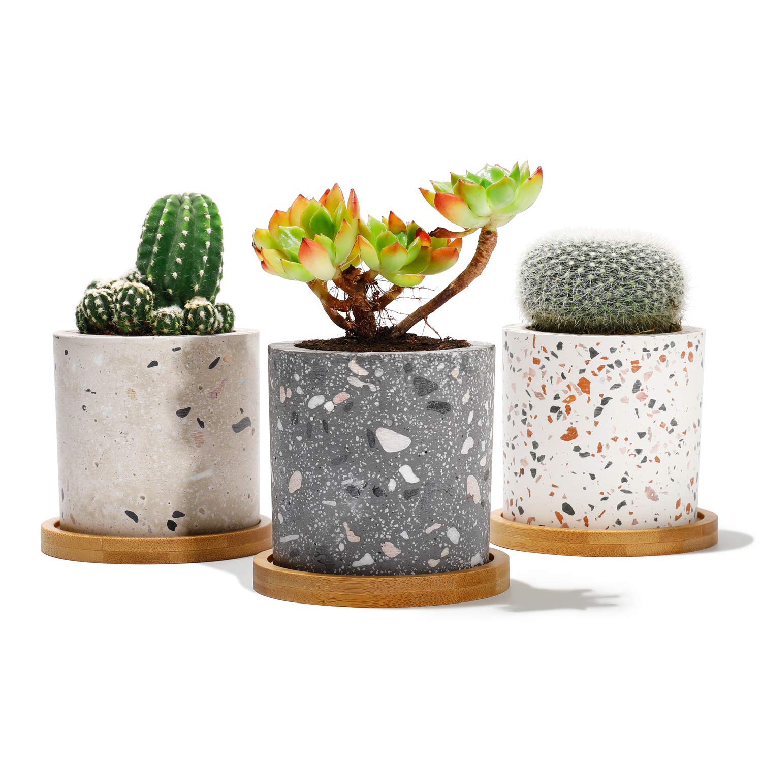 Potey + Succulent Terrazzo Planters