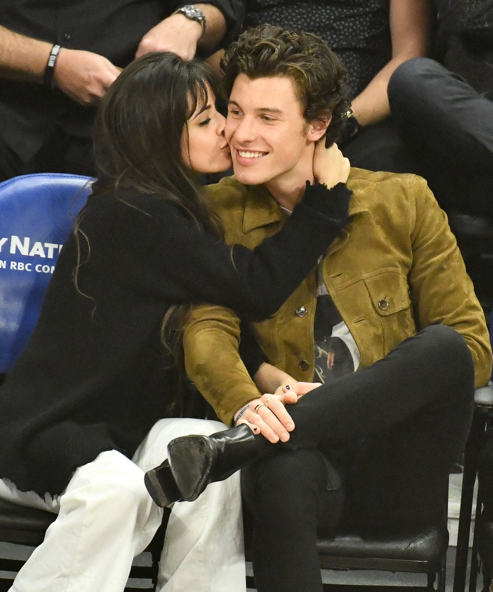 Shawn Mendes & Camila Cabello's Relationship Timeline: They Reunited?