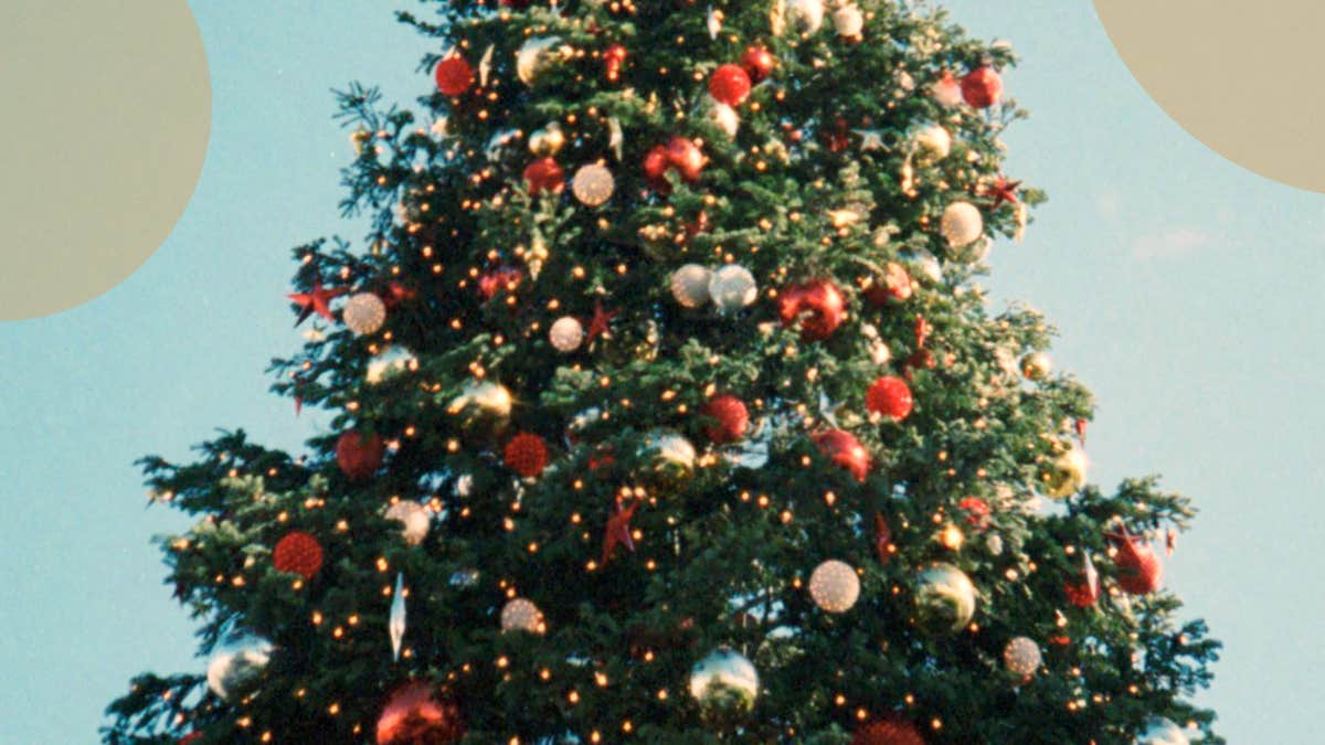 Christmas Tree Shortage 2019 Due To Climate Change Will There Be A Christmas Tree Shortage In 2021