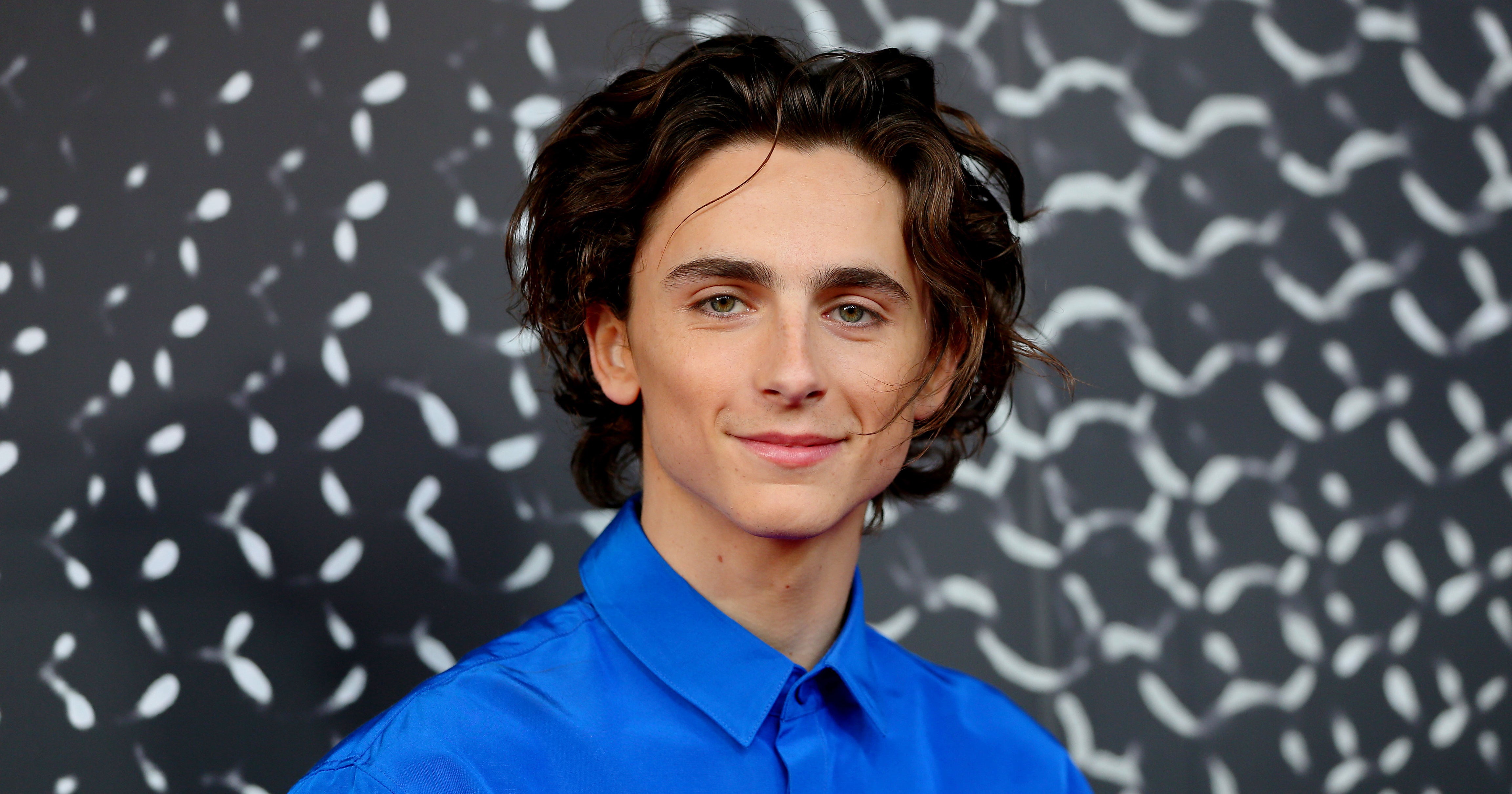 timothee chalamet pop funko