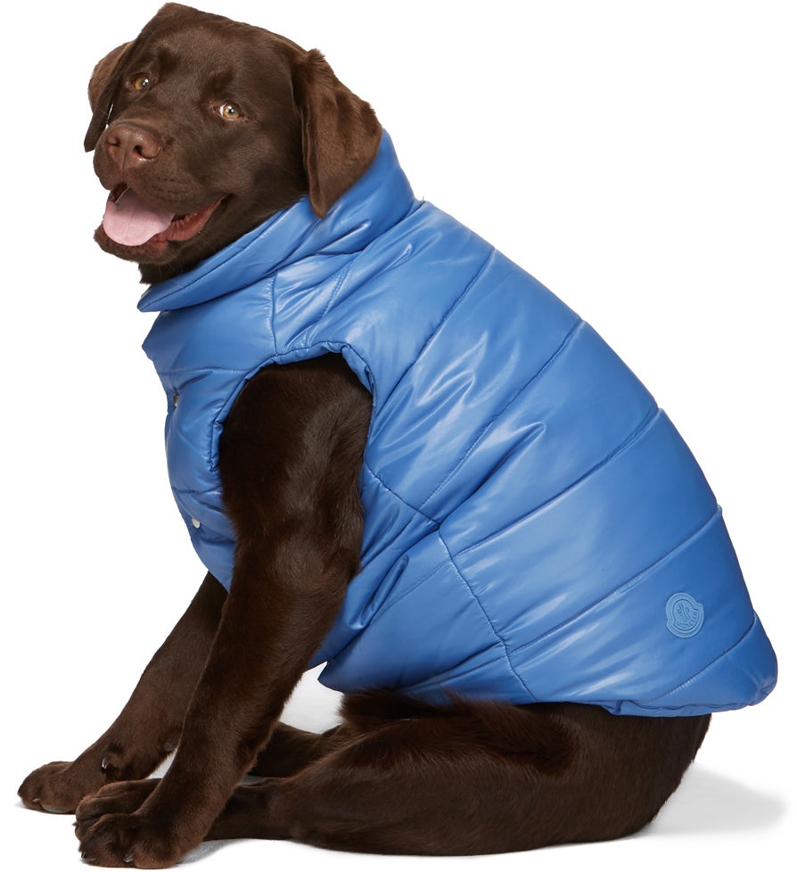 moncler pet sale