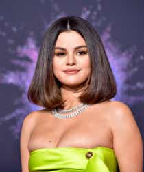 Selena Gomez Fuck Porn - Selena Gomez Wants A Boyfriend In Song On Album Rare