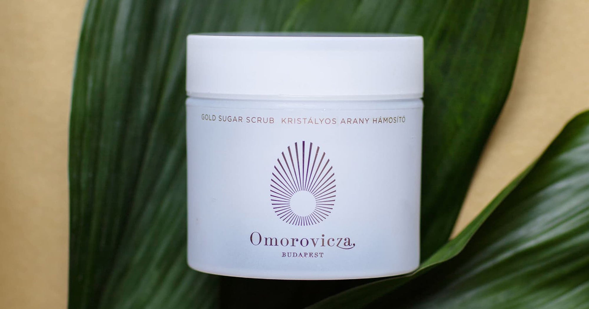 Pas The 15 Best Sugar Scrubs to Exfoliate Your Needy Winter Skin