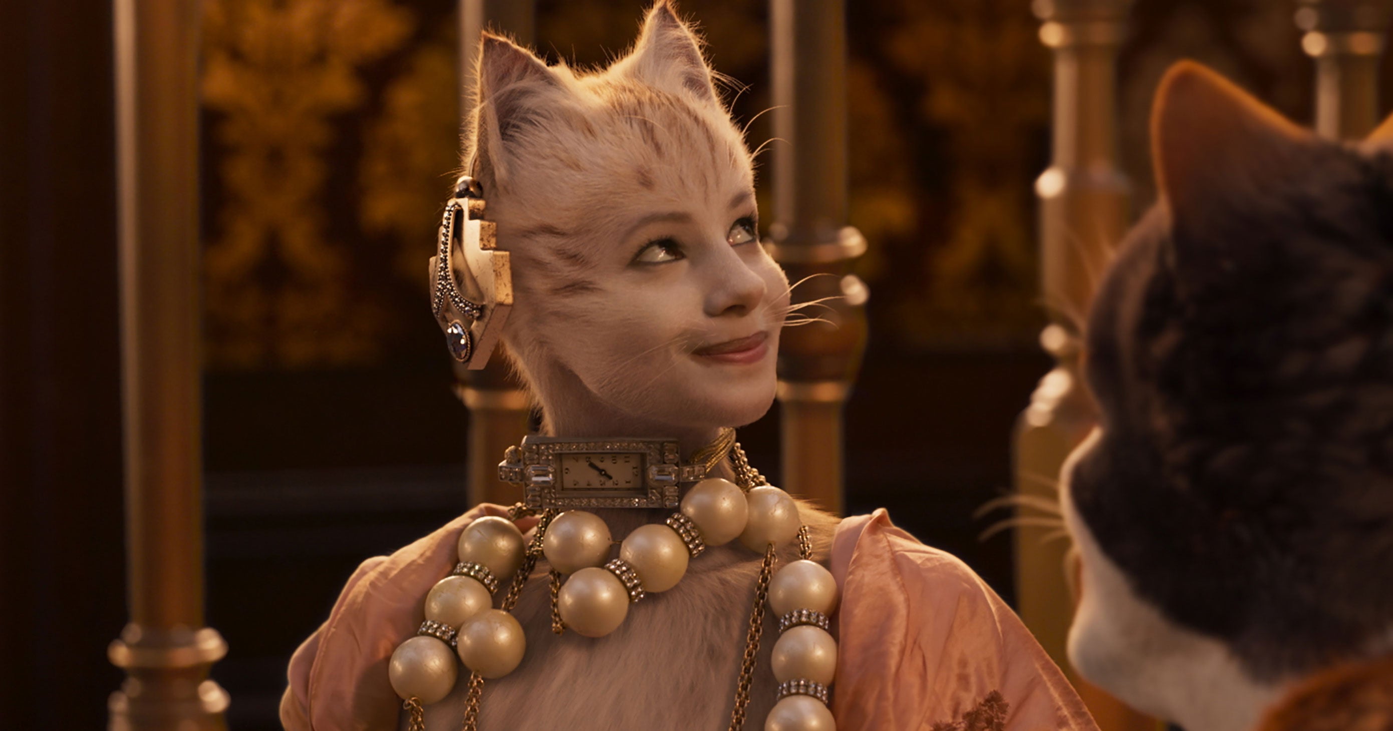  Cats  Cast  The Unrecognizable Actors  Their Characters 