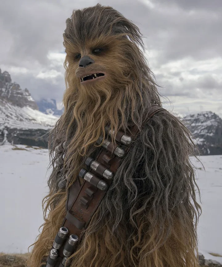 Star Wars Episode 9 Chewbacca Easter Egg Explained
