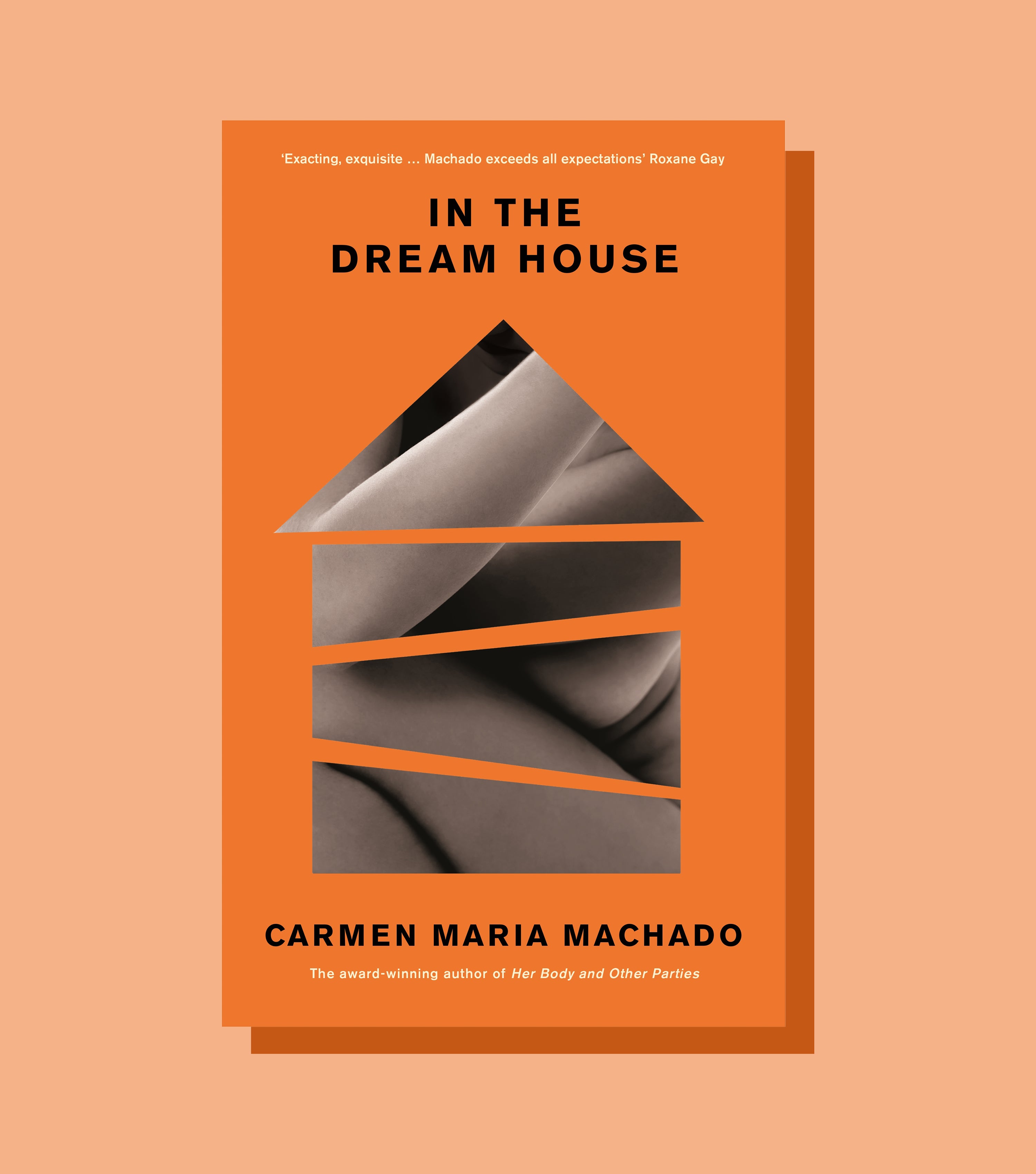 In The Dream House Extract By Carmen Maria Machado picture
