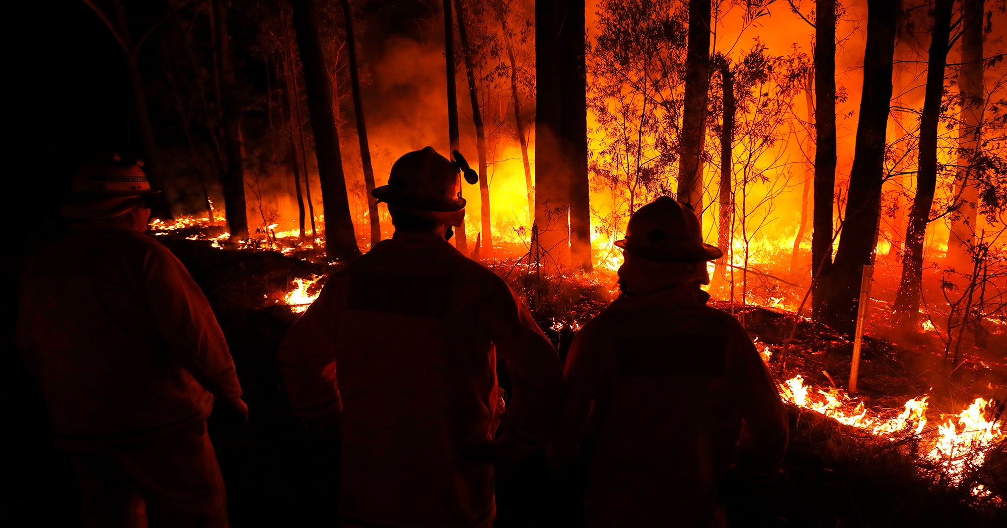 Australia Fires Continue To Devastate — Here’s How You Can Help - Refinery29