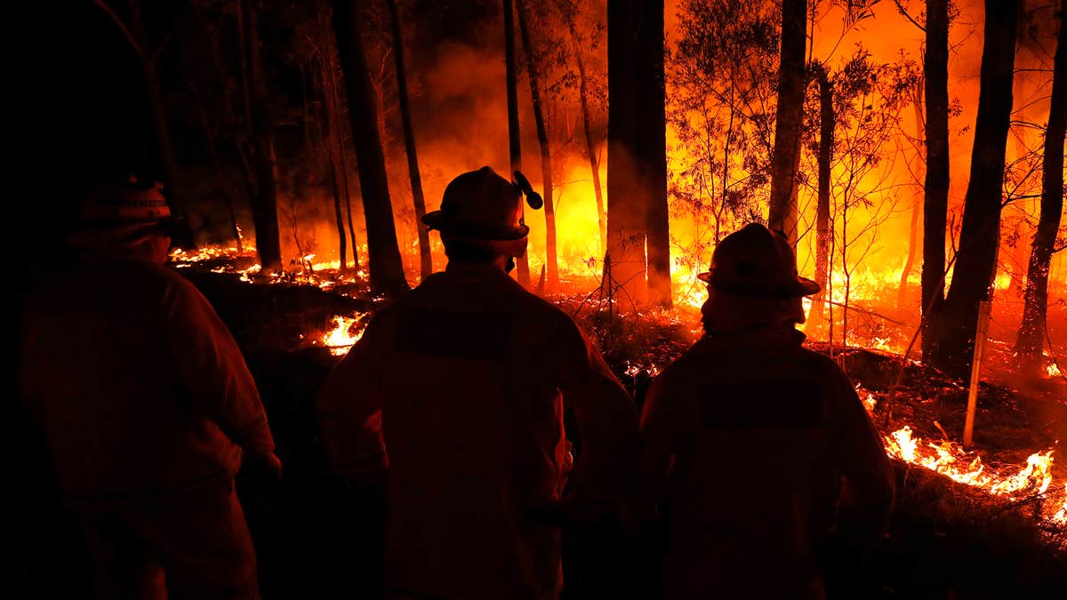 How To Help With Extreme Bushfires In Australia 2020