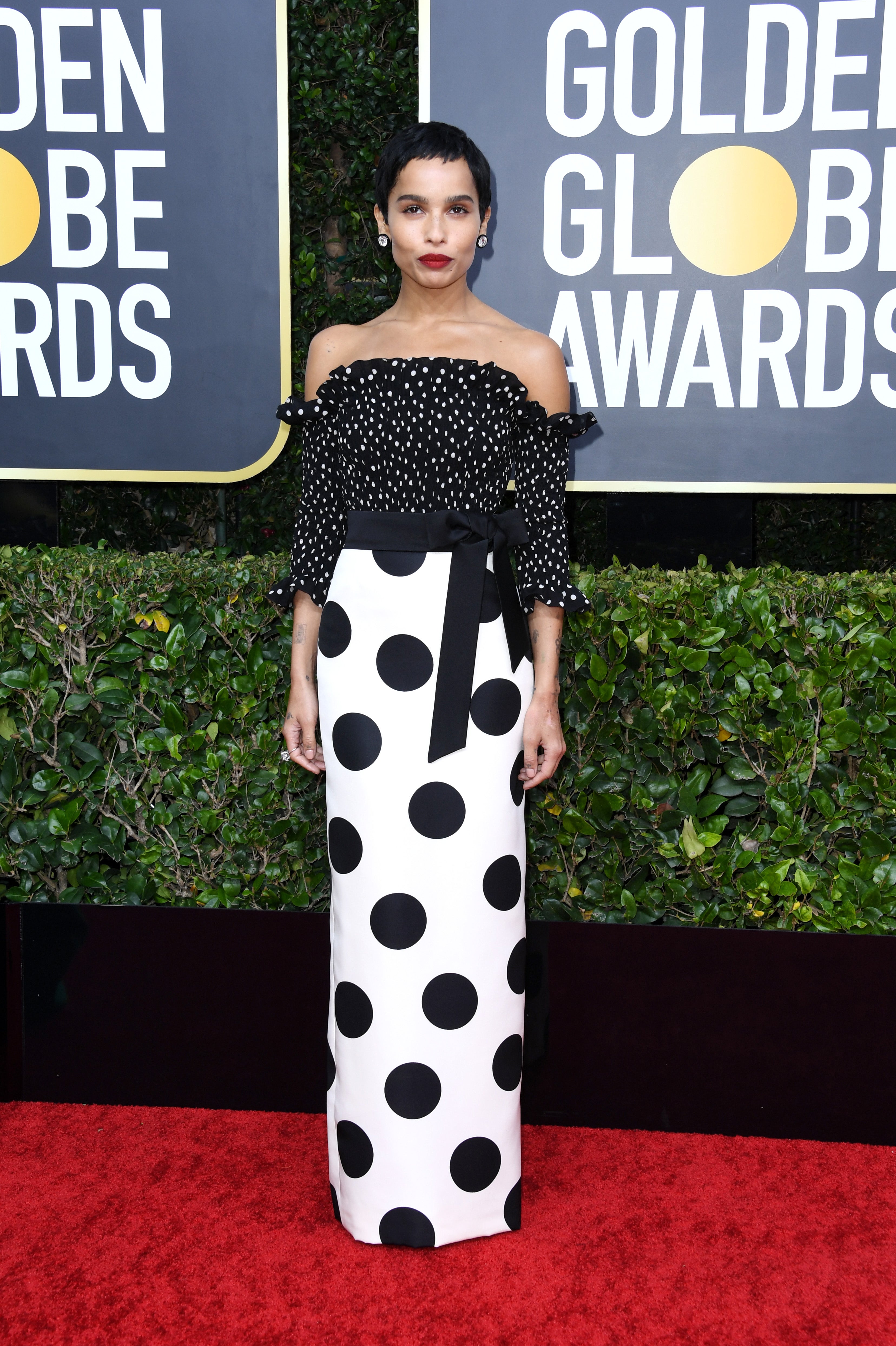 Golden Globes Red Carpet Photos,